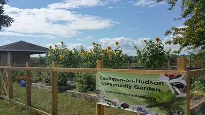 Community garden